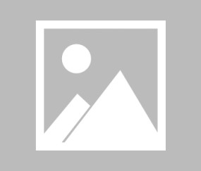 爱游戏APP-莫兰特炮轰灰熊教练组